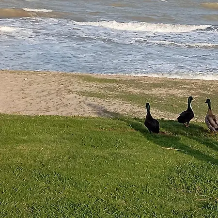 Torremar 34 Apartament *